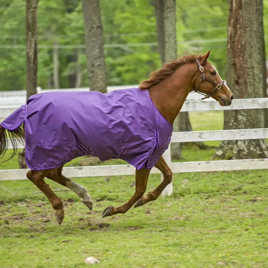 TuffRider 1680 D Super Comfy Winter Ripstop Turnout Blanket Medium Weight 200 GSM Standard Neck - Breeches.com - Flyclothing LLC