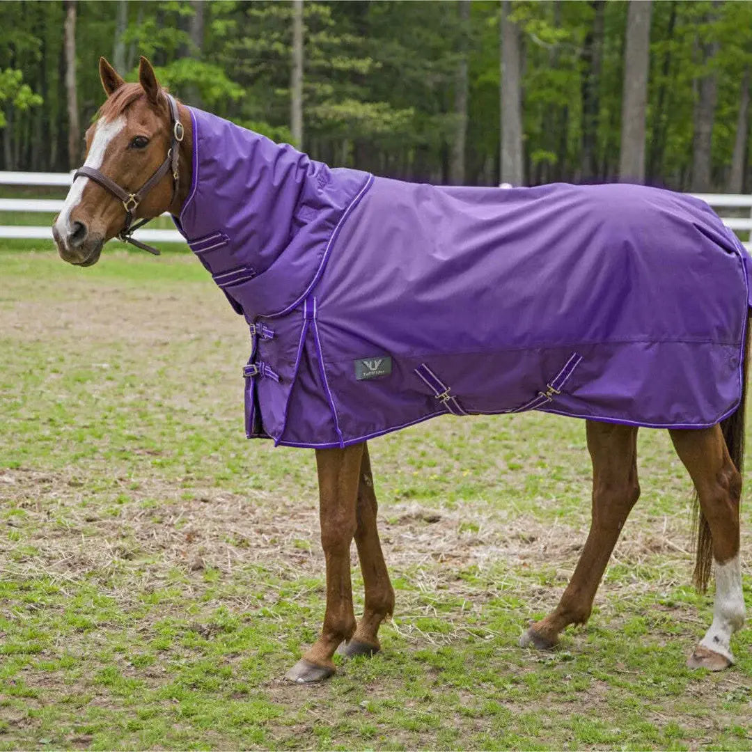 TuffRider 1680 D Super Comfy Winter Ripstop Turnout Blanket Heavy Weight 350 GSM Detachable Neck - Breeches.com - Flyclothing LLC