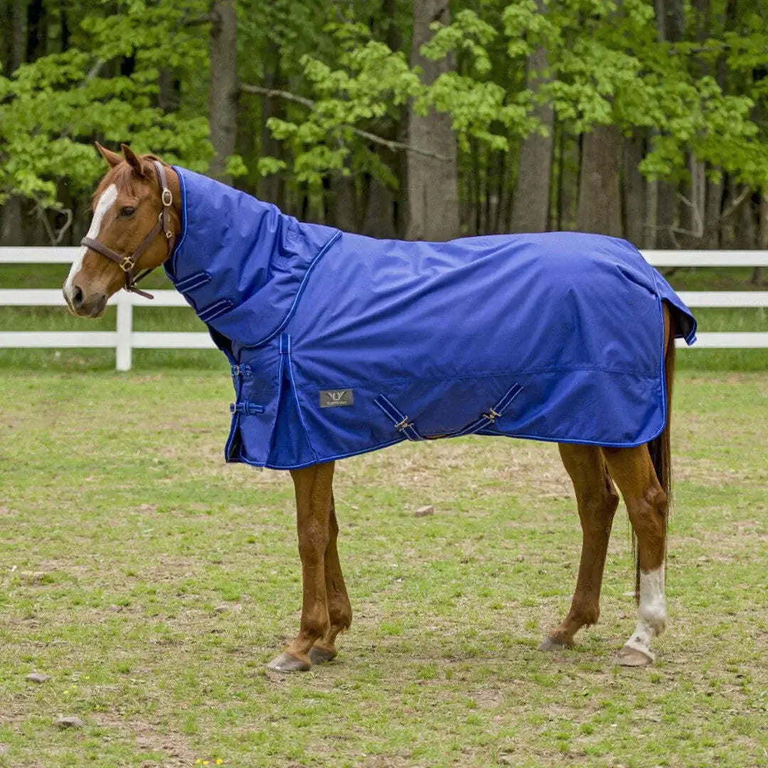TuffRider 1680 D Super Comfy Winter Ripstop Turnout Blanket Heavy Weight 350 GSM Detachable Neck - Breeches.com - Flyclothing LLC