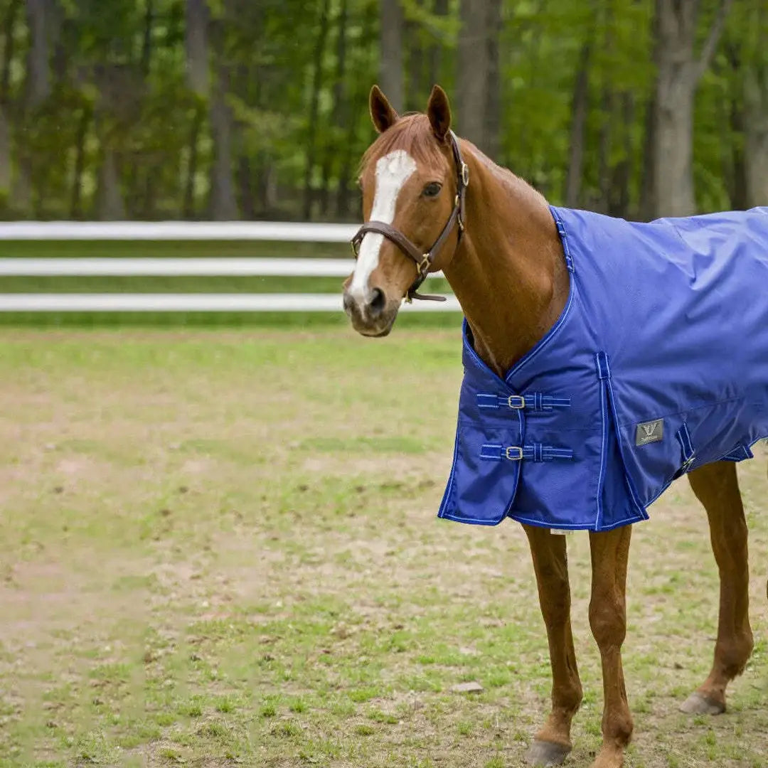 TuffRider 1680 D Super Comfy Winter Ripstop Turnout Blanket Heavy Weight 350 GSM Detachable Neck - Breeches.com - Flyclothing LLC