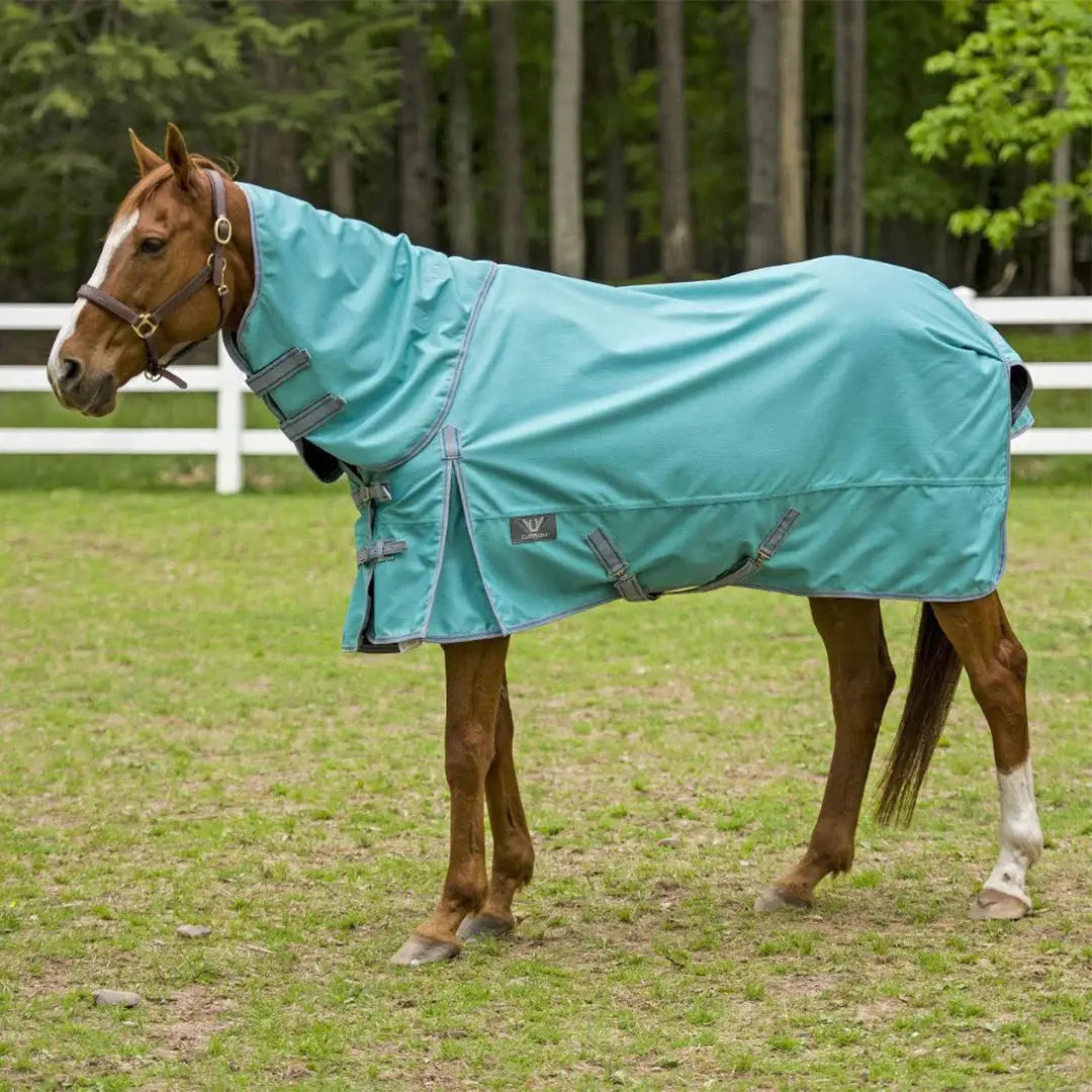 TuffRider 1200 D Comfy Detachable Neck Ripstop Turnout Sheet - Breeches.com - Flyclothing LLC