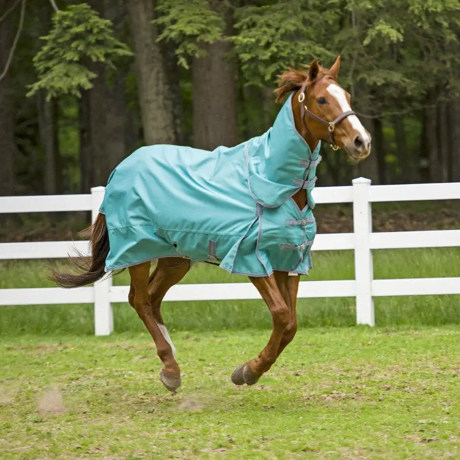 TuffRider 1200 D Comfy Detachable Neck Ripstop Turnout Sheet - Breeches.com - Flyclothing LLC