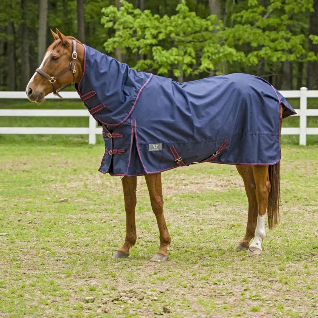 TuffRider 1200 D Comfy Detachable Neck Ripstop Turnout Sheet - Breeches.com - Flyclothing LLC