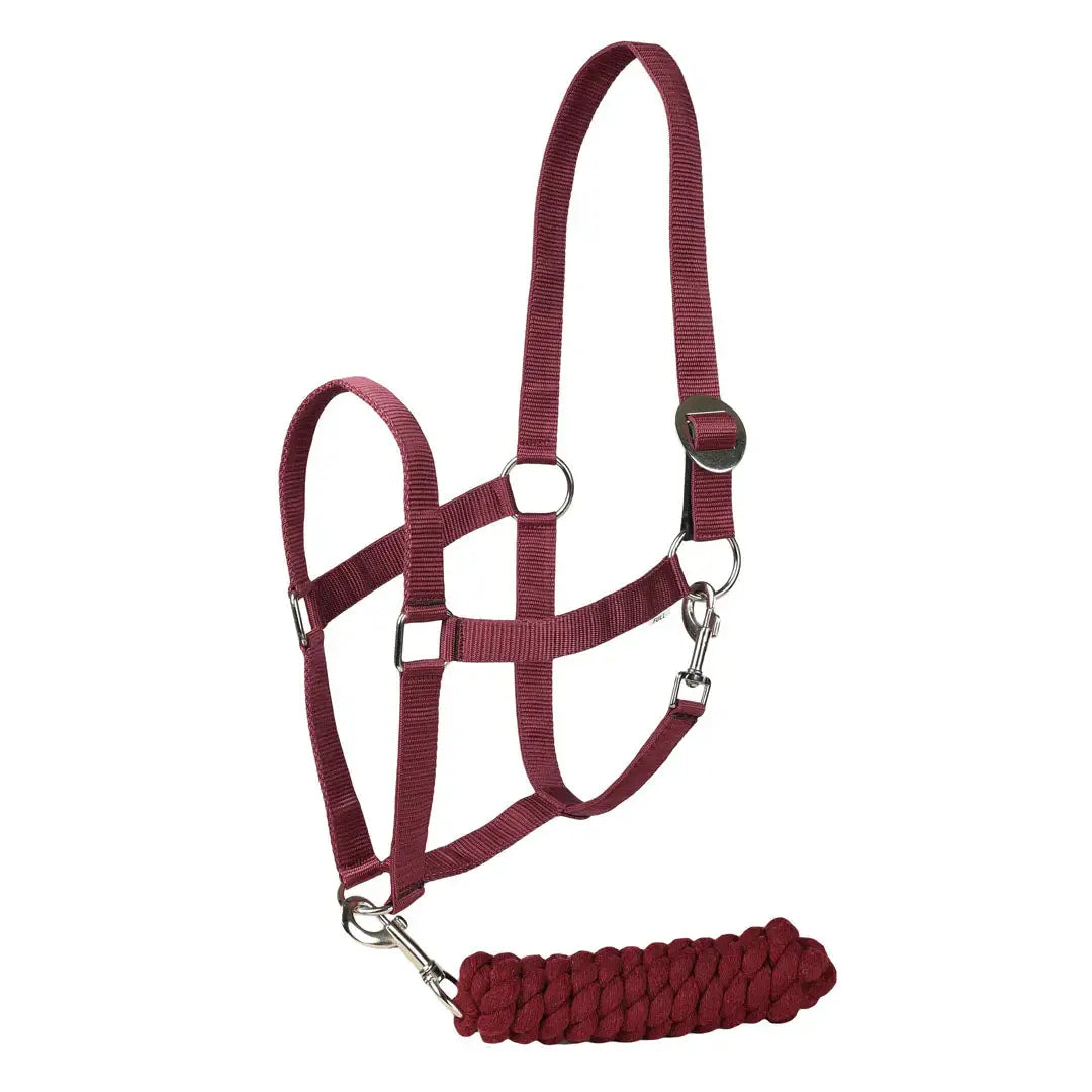 TuffRider Halter And Lead Rope Set With Breakaway Leather - Breeches.com - Flyclothing LLC
