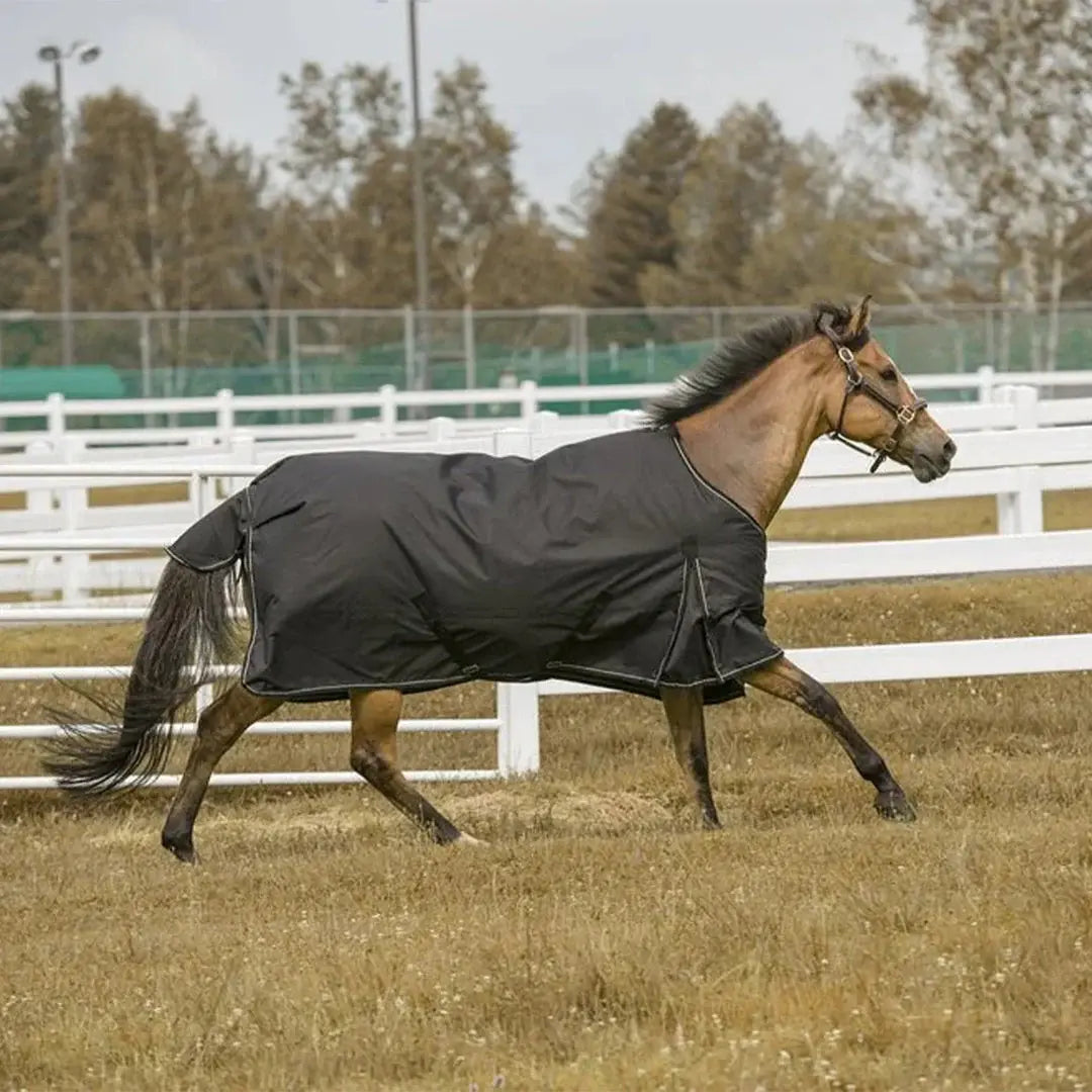 TuffRider 1200 D Comfy Winter Ripstop Turnout Blanket Medium Weight 200 GSM Standard Neck - Breeches.com - Flyclothing LLC