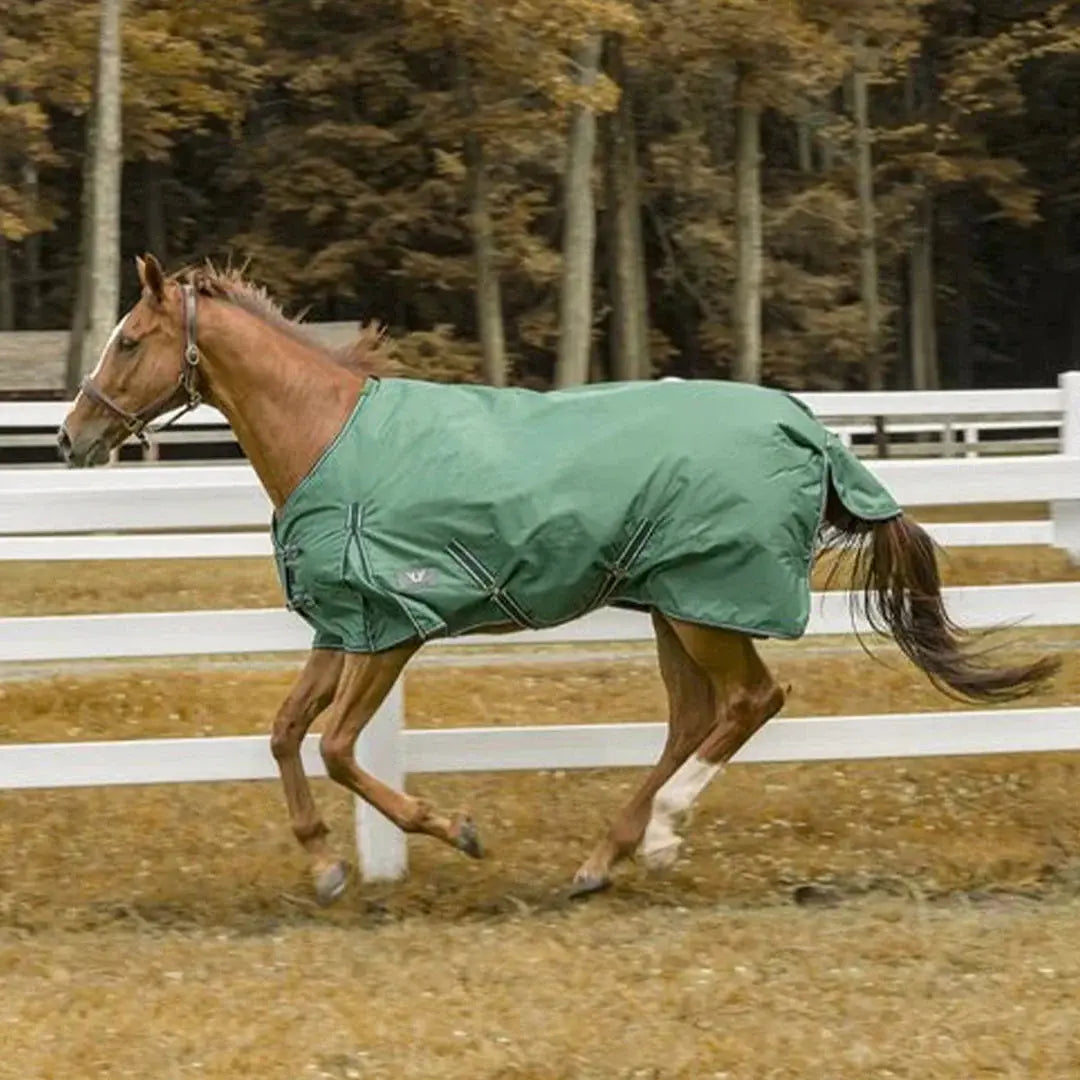 TuffRider 600 D Comfy Winter Ripstop Turnout Blanket Medium Weight 200 GSM Standard Neck - Breeches.com - Flyclothing LLC