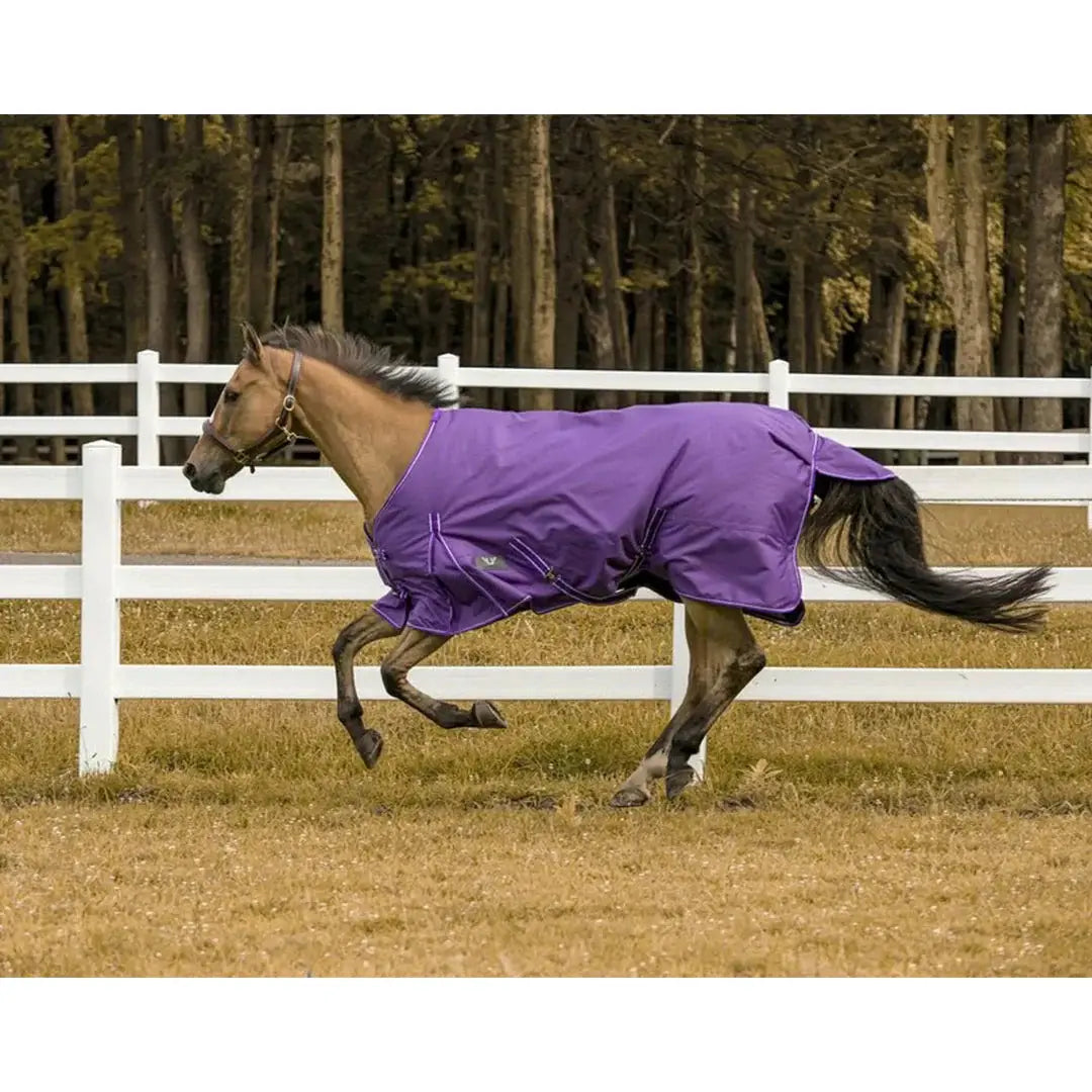 TuffRider 1200 D Comfy Winter Ripstop Turnout Blanket Medium Weight 200 GSM Standard Neck - Breeches.com - Flyclothing LLC