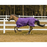 TuffRider 1200 D Comfy Winter Ripstop Turnout Blanket Medium Weight 200 GSM Standard Neck - Breeches.com - Flyclothing LLC