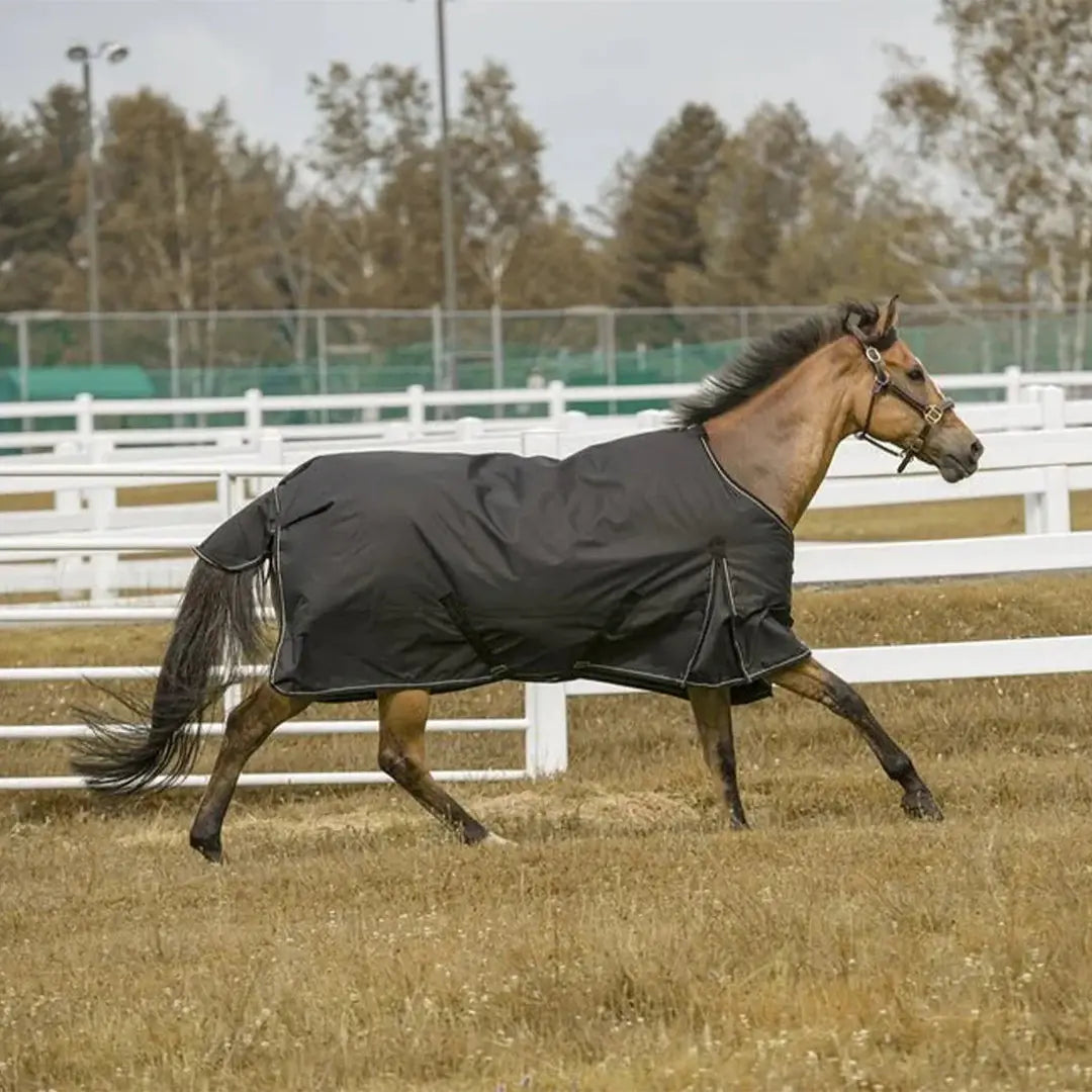 TuffRider 600 D Comfy Winter Ripstop Turnout Blanket Medium Weight 200 GSM Standard Neck - Breeches.com - Flyclothing LLC