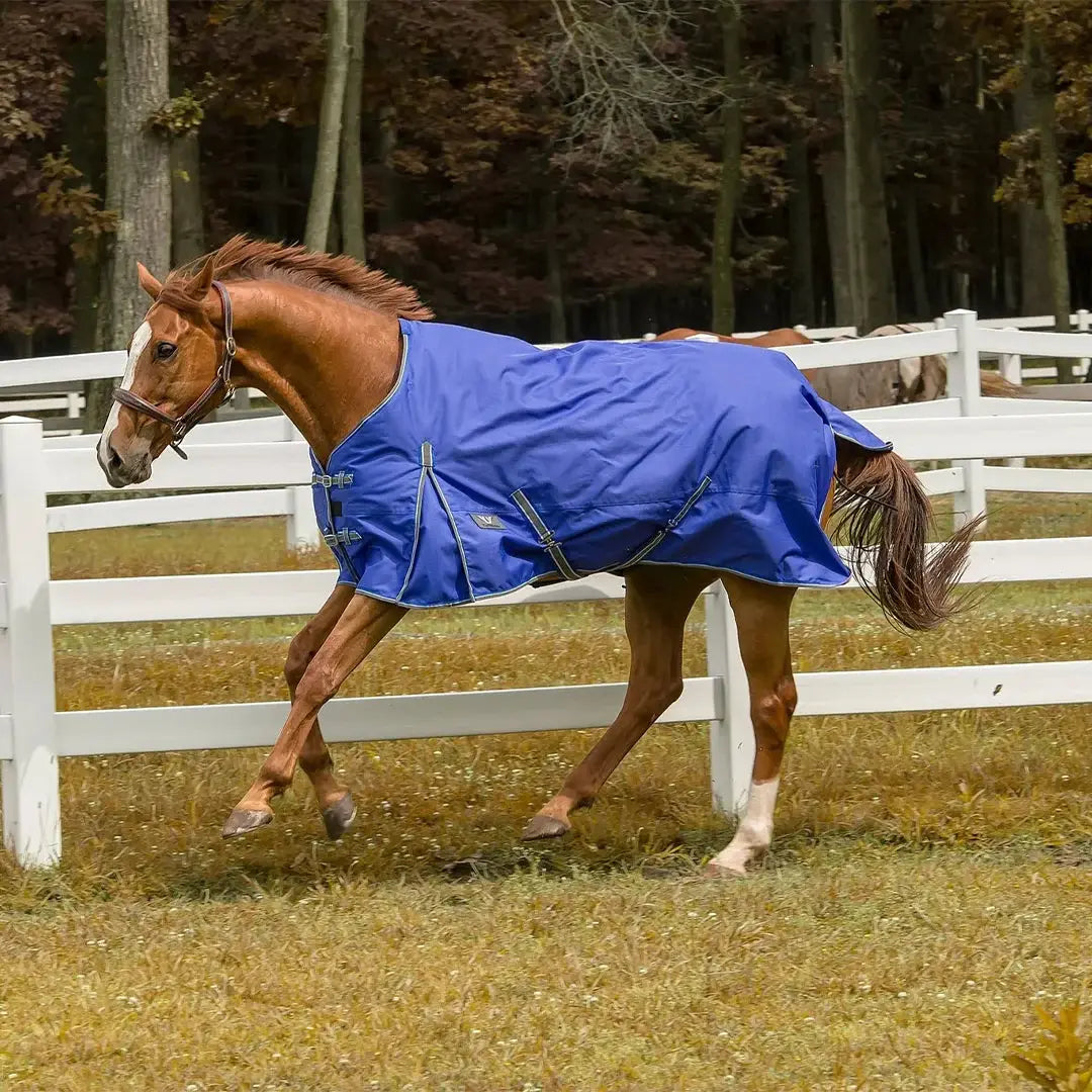 TuffRider 600 D Comfy Winter Ripstop Turnout Blanket Medium Weight 200 GSM Standard Neck - Breeches.com - Flyclothing LLC