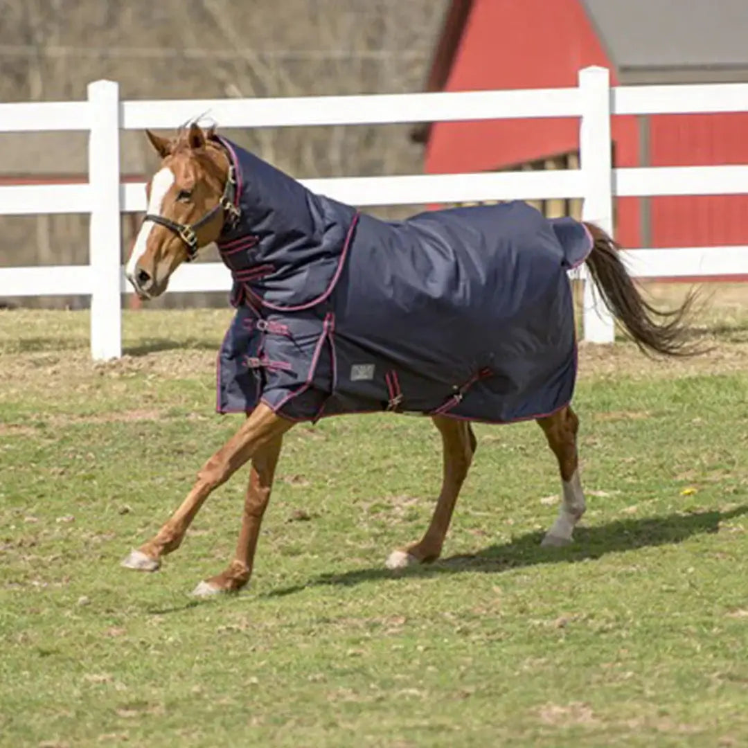 TuffRider 600 D Comfy Winter Medium Weight Ripstop Turnout Blanket w/ Combo Neck- 200 GSM - Breeches.com - Flyclothing LLC