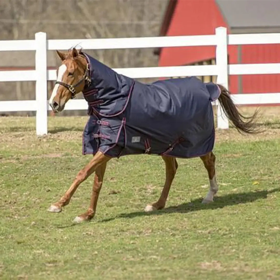 TuffRider 1200 D Winter Comfy Heavy Weight Detachable Neck Ripstop Turnout Blanket w/ 350 GSM of fill - Breeches.com - Flyclothing LLC