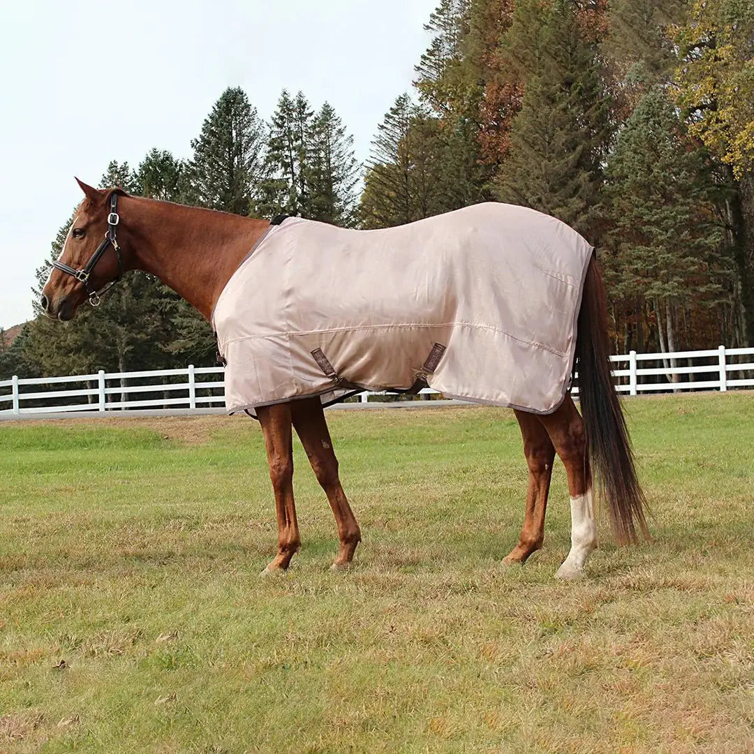 TuffRider Comfy Mesh Standard Neck Fly Sheet - Breeches.com - Flyclothing LLC