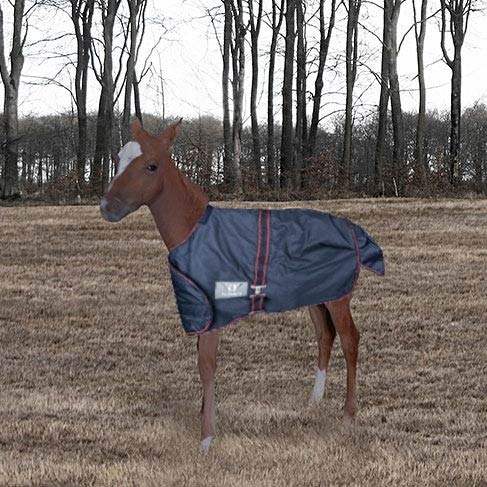 TuffRider 1200D Ripstop Foal Adjustable Turnout Blanket 220GSM Fill - Breeches.com - Flyclothing LLC