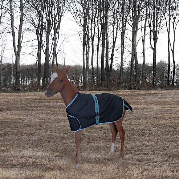 TuffRider 1200D Ripstop Foal Adjustable Turnout Blanket 220GSM Fill - Breeches.com - Flyclothing LLC