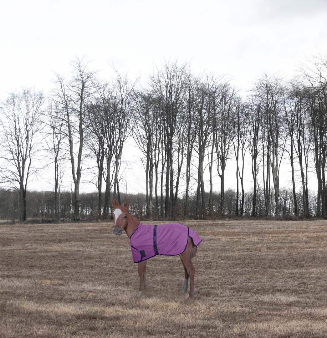 TuffRider 1200D Ripstop Foal Adjustable Turnout Blanket 220GSM Fill - Breeches.com - Flyclothing LLC