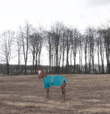 TuffRider 1200D Ripstop Foal Adjustable Turnout Blanket 220GSM Fill - Breeches.com - Flyclothing LLC