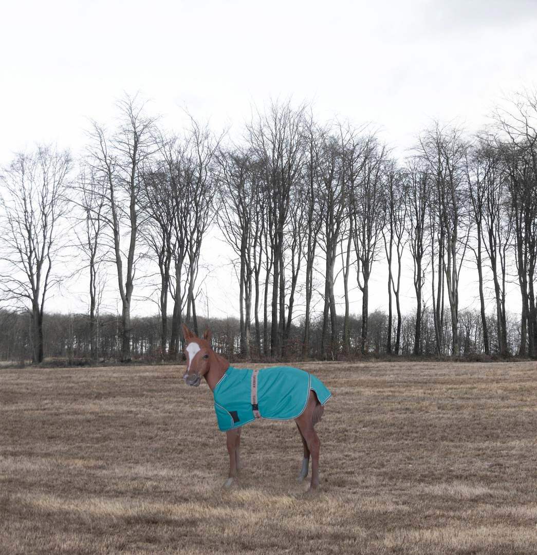 TuffRider 1200D Ripstop Foal Adjustable Turnout Blanket 220GSM Fill - Breeches.com - Flyclothing LLC