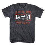 BEASTIE BOYS WHAT CHA WANT