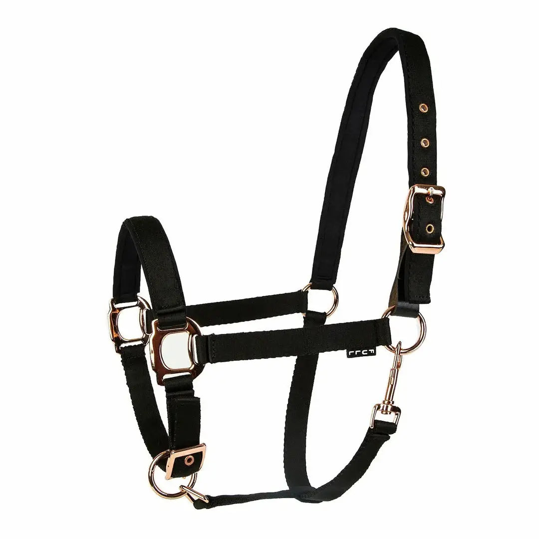 Lettia Rosegold Padded Leather Breakaway Halter - Breeches.com - Flyclothing LLC