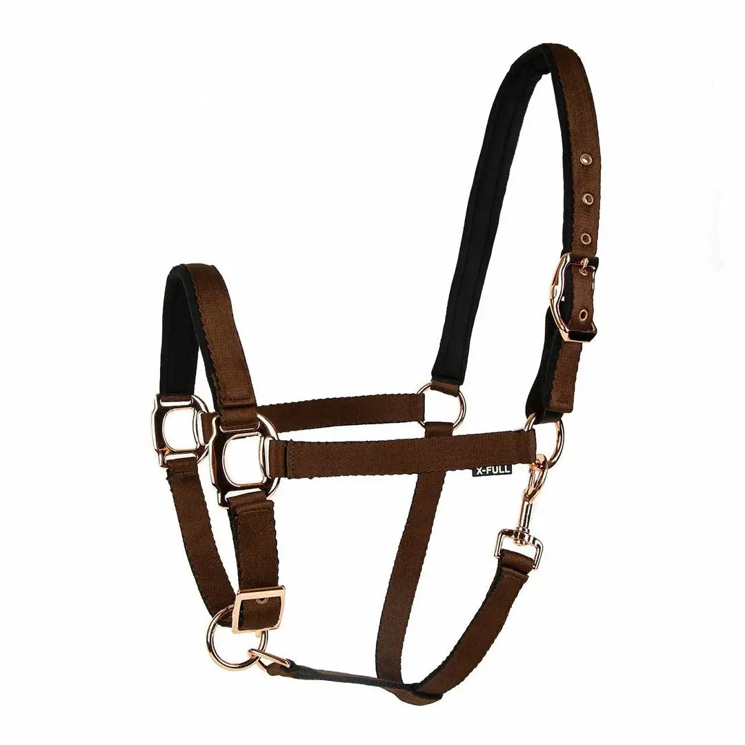 Lettia Rosegold Padded Leather Breakaway Halter - Breeches.com - Flyclothing LLC