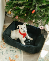 Chester & Lee | Fancy Corduroy Sleeper Dog Bed Graphite - Chester & Lee - Flyclothing LLC