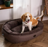 Chester & Lee | Cuddly Bagel Dog Bed - Chester & Lee - Flyclothing LLC