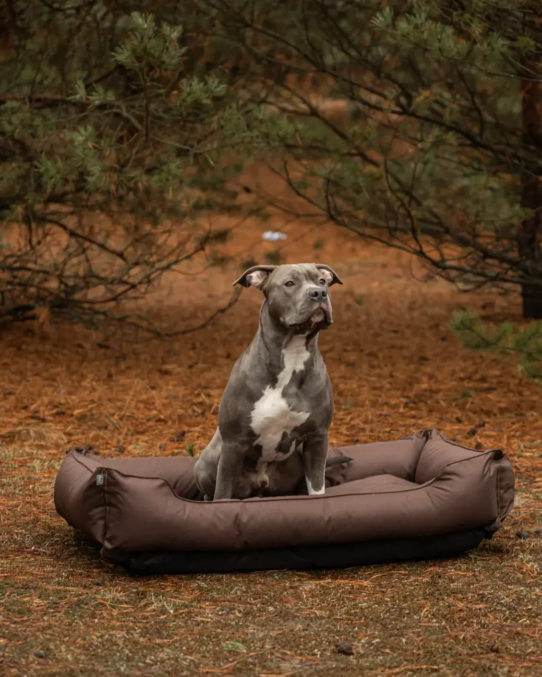Chester & Lee | Waterproof Sleeper Dog Bed Brown - Chester & Lee - Flyclothing LLC