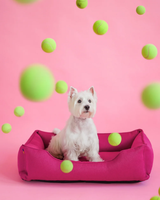 Chester & Lee | Cotton Sleeper Dog Bed Berry Pink - Chester & Lee - Flyclothing LLC