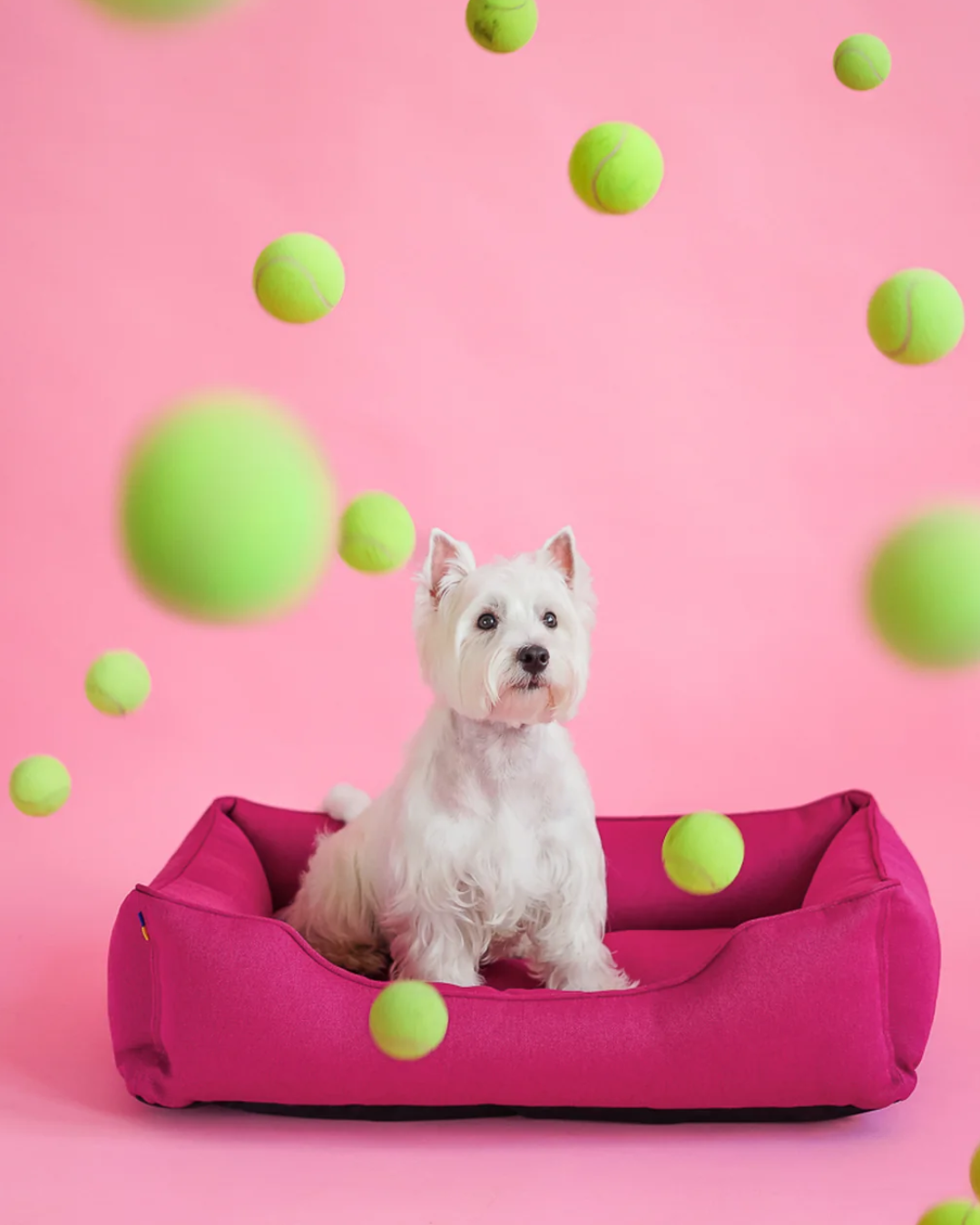 Chester & Lee | Cotton Sleeper Dog Bed Berry Pink - Chester & Lee - Flyclothing LLC