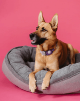 Chester & Lee | Furry Bagel Dog Bed - Chester & Lee - Flyclothing LLC