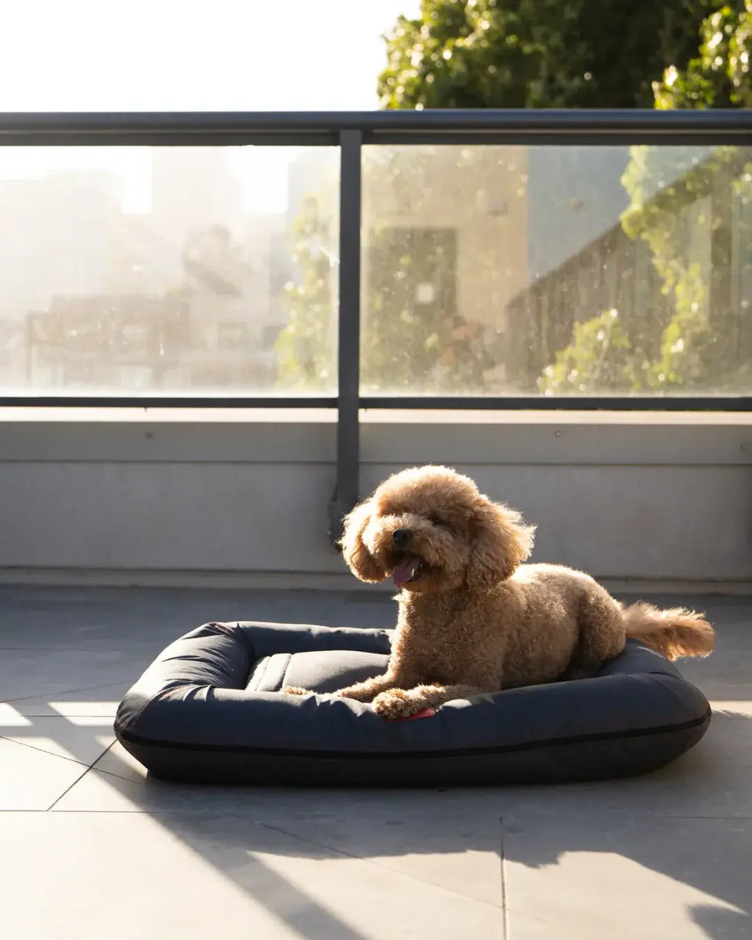 Chester & Lee | Waterproof Lounger Dog Bed Gray - Chester & Lee - Flyclothing LLC