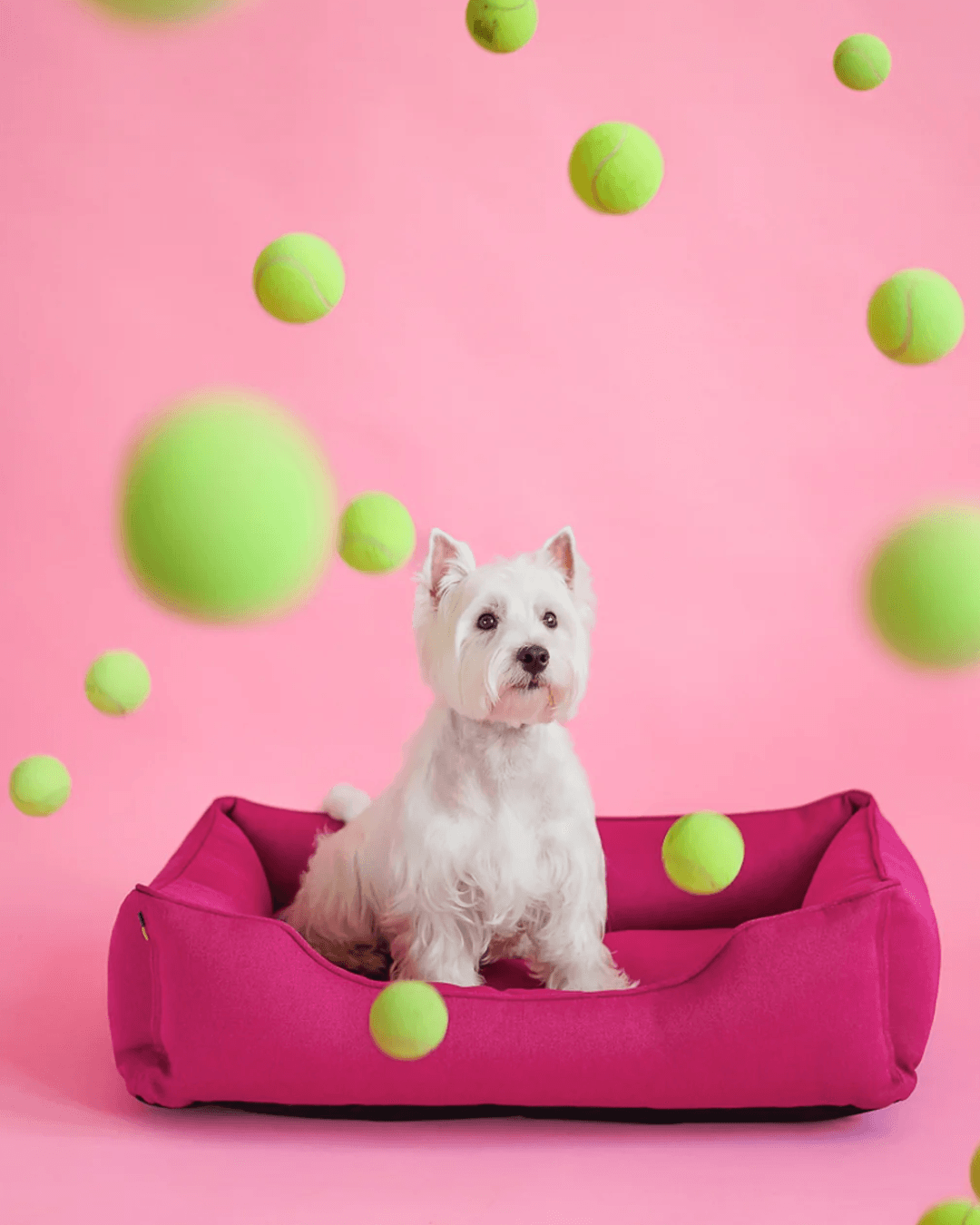 Chester & Lee | Cotton Sleeper Dog Bed Berry Pink - Chester & Lee - Flyclothing LLC