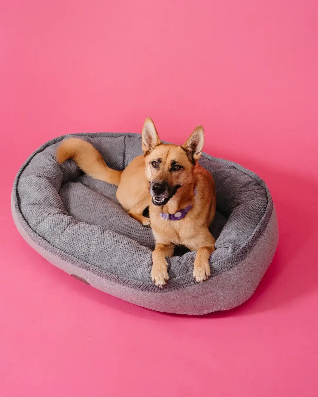 Chester & Lee | Furry Bagel Dog Bed - Chester & Lee - Flyclothing LLC