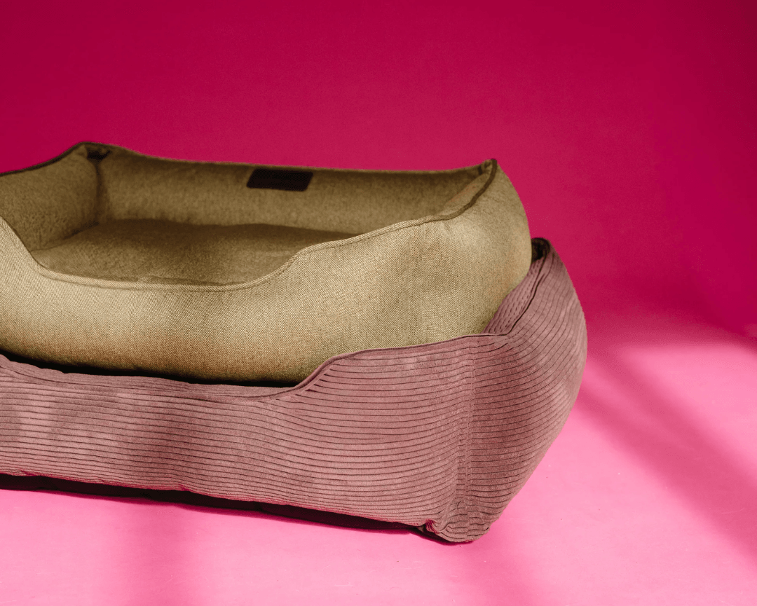 Chester & Lee | Cotton Sleeper Dog Bed Olive - Chester & Lee - Flyclothing LLC