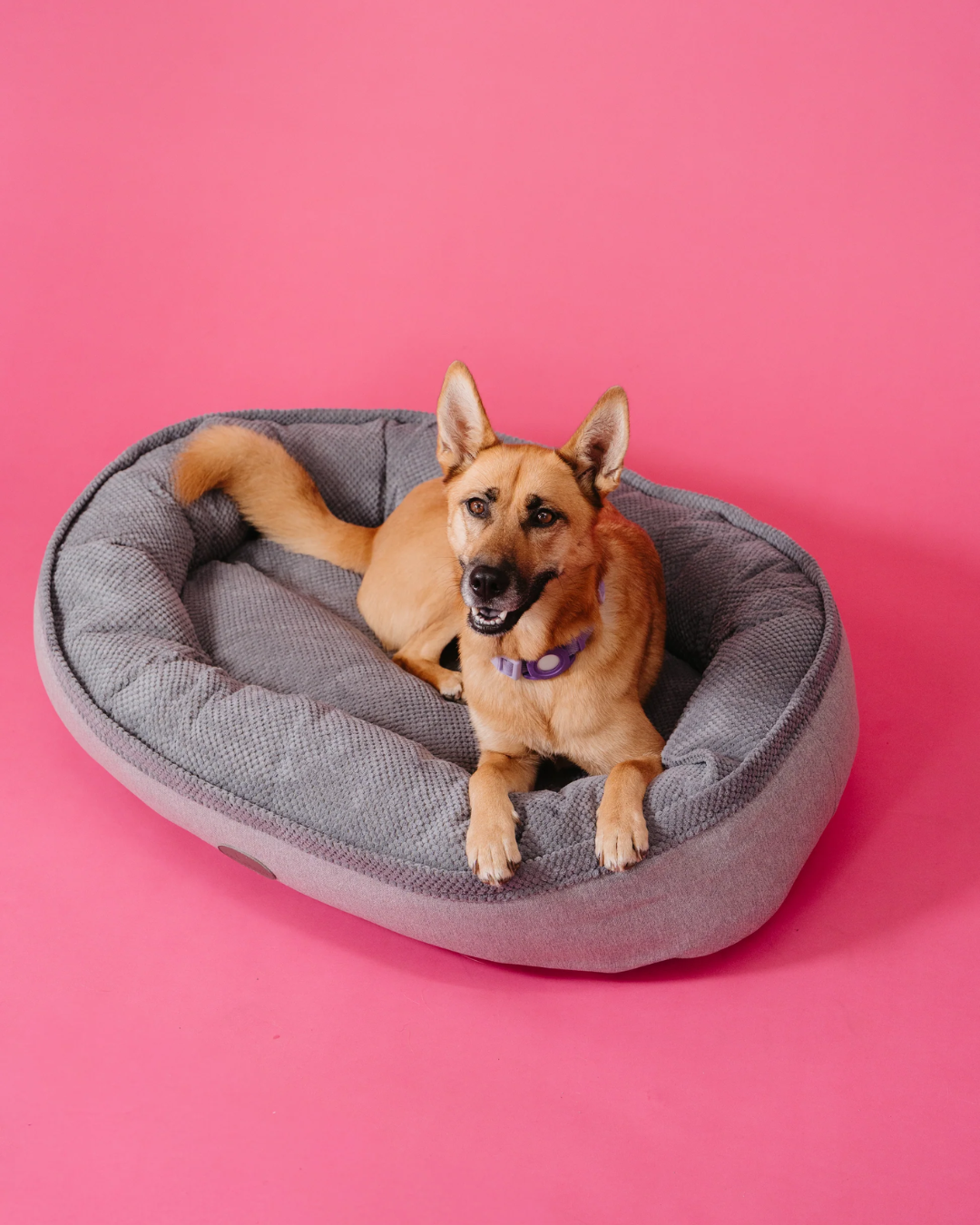 Chester & Lee | Furry Bagel Dog Bed - Chester & Lee - Flyclothing LLC