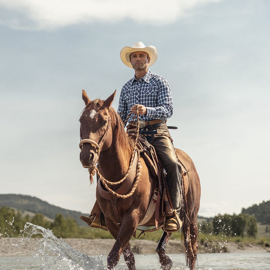 Stetson Plaid Twill Dobby Western Shirt