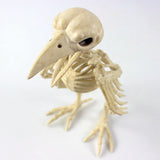Halloween Decoration Artificial Animal Skeleton - My Store - Flyclothing LLC