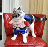 Boxer Cat Costume - My Store - Flyclothing LLC