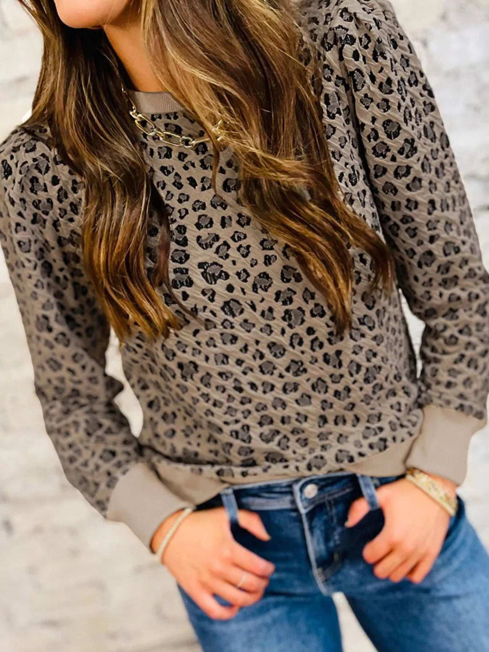 Ribbed Trim Leopard Print Long Sleeve Top - Trendsi - Flyclothing LLC