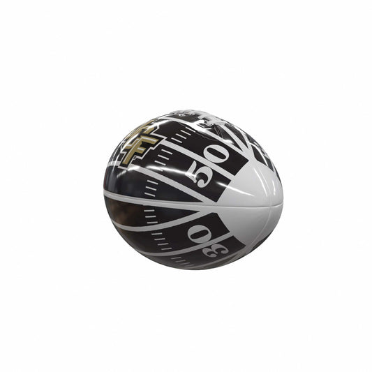 Central Florida Field Mini-Size Glossy Football - Logo Brands - Flyclothing LLC