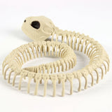 Halloween Decoration Artificial Animal Skeleton - My Store - Flyclothing LLC