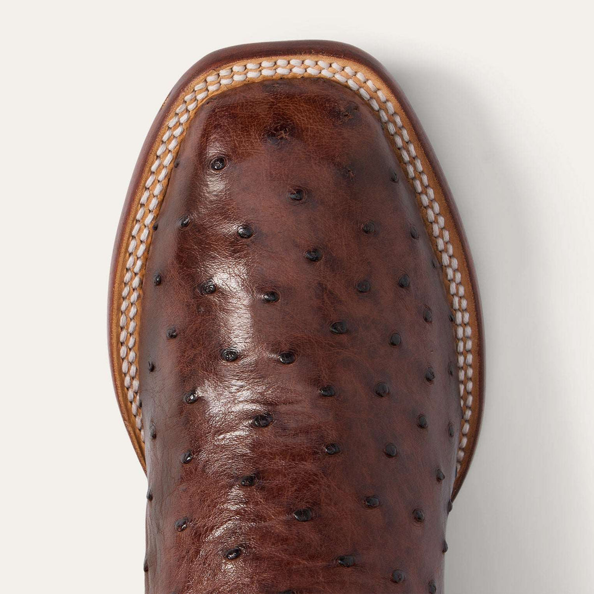 Stetson Ozzy Ostrich Boot Dark Brown - Stetson - Flyclothing LLC