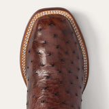 Stetson Ozzy Ostrich Boot Dark Brown - Stetson - Flyclothing LLC