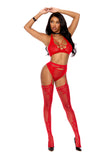 Elegant Memories Red Bra, Panty And Suspender Hose 12187