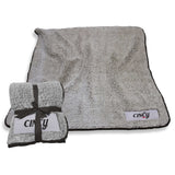 Cincinnati Stylized Frosty Fleece - Logo Brands - Flyclothing LLC