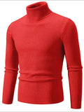 Men's Turtleneck Long Sleeve Ribbed Sweater - Trendsi - Flyclothing LLC