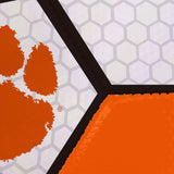 Clemson Soccer Ball - Logo Brands - Flyclothing LLC