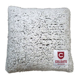 Colgate Combo Mark Frosty Pillow - Logo Brands - Flyclothing LLC