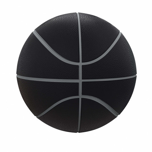 Florida Blackout Full-Size Composite Basketball - Logo Brands - Flyclothing LLC